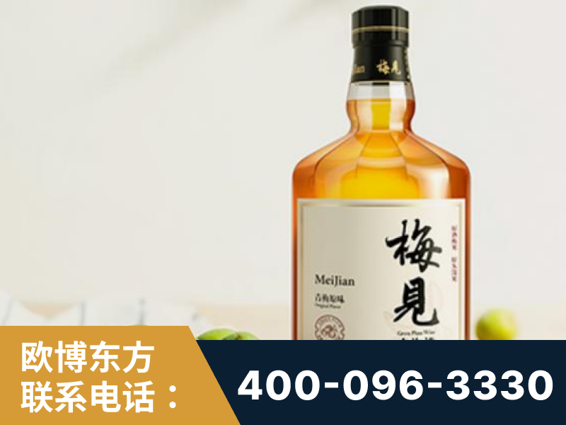 东阳-梅见青梅酒