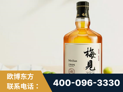 东阳-梅见青梅酒